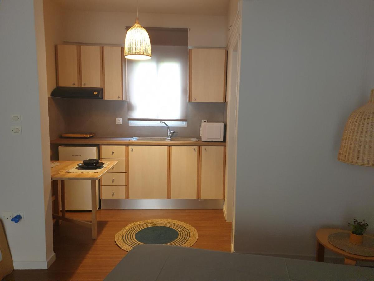 A Pleasent Small -Studio Close To The Port Of 沃洛斯 外观 照片